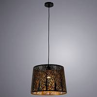 Подвес Arte Lamp (Италия) арт. A2769SP-1BK