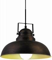 Светильник подвесной Arte Lamp арт. A5213SP-1BR